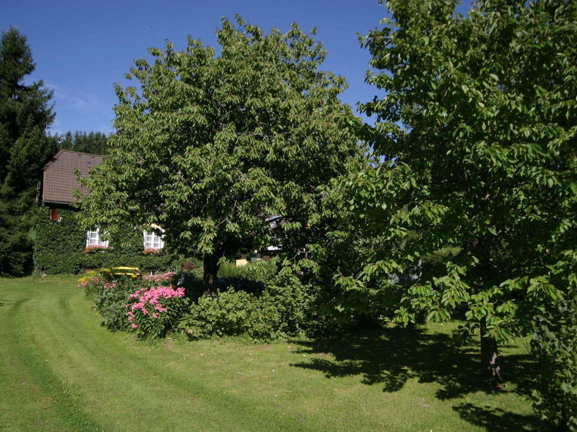 Holiday Home In Scheifling Near Ski Area Exterior photo
